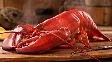 Lobster and seafood